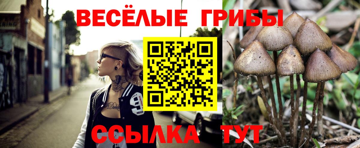 Псилоцибиновые грибы ЛСД  Галлюциногенные грибы Magic Shrooms  Вход с VPN  Ртищево 